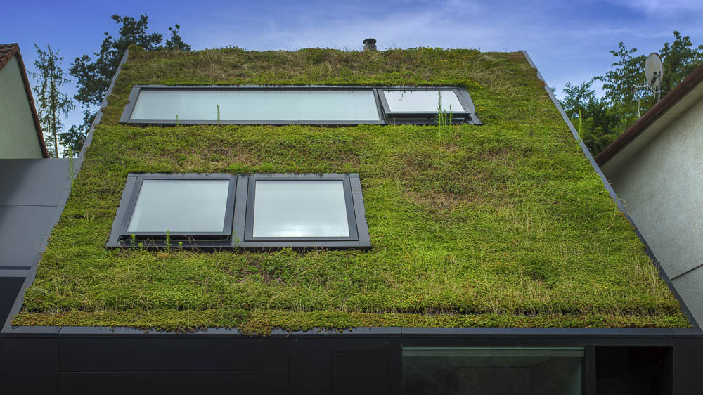 Gründächer Begrüntes Dach mit Dachfenstern